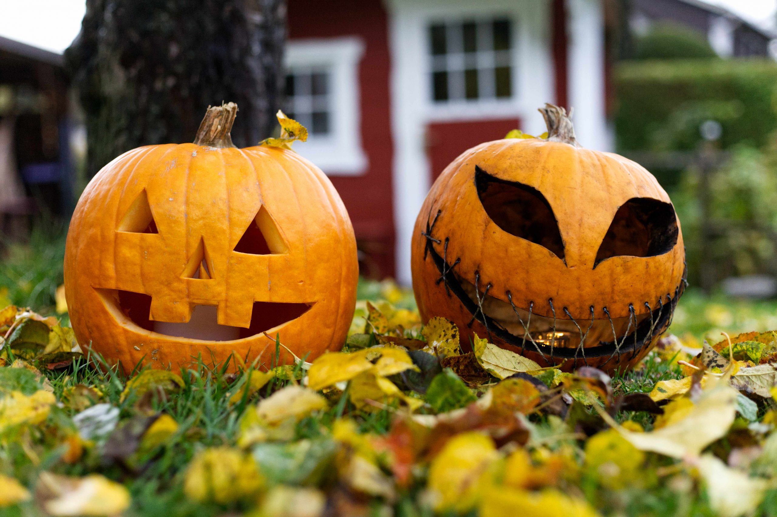 IIRC Halloween Kürbis Schnitzset 11-teilig - Mit Schablonen & Tasche